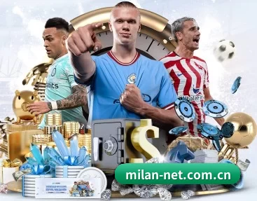 milan-net.com.cn的故事