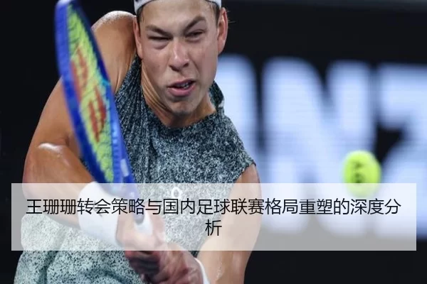 王珊珊转会策略与国内足球联赛格局重塑的深度分析